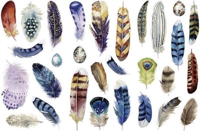 Stickerset Veertjes - 3 vellen - Sticker Feathers - Stickers Veren