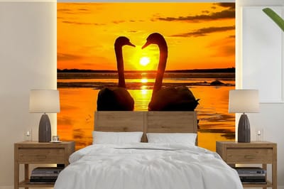 Behang - Fotobehang Zwanen - Zonsondergang - vogel - Oranje - Water - Breedte 280 cm x hoogte 280 cm