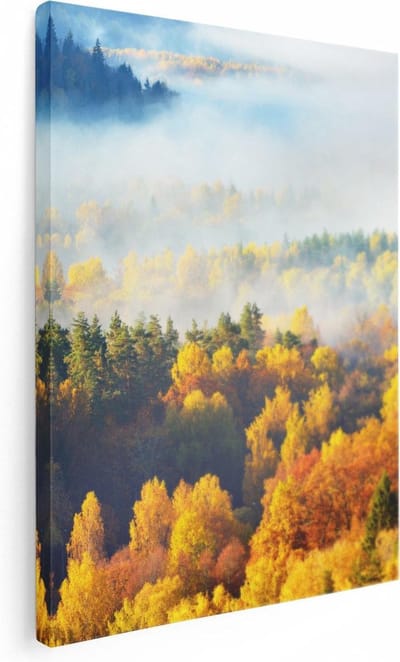 Artaza Canvas Schilderij Bos - 30x40 cm - Klein - Wanddecoratie Herfst - Muurdecoratie Bomen - Kamer Accessoires Landschap