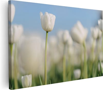 Artaza Canvas Schilderij Tulpenveld - 30x20 cm - Klein - Muurdecoratie Bloemen - Wanddecoratie Woonkamer - Kamer Accessoires