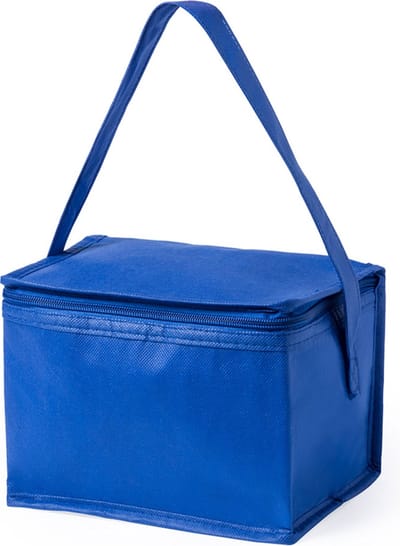 Koeltas - Koeltasje klein - Koeltassen - Geschikt voor 6 33cl blikjes - 4 liter - Blauw