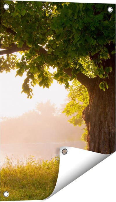Gards Tuinposter Eikenboom aan het Water met Volle Bladeren - 40x60 cm - Tuindoek - Tuindecoratie - Wanddecoratie buiten - Tuinschilderij