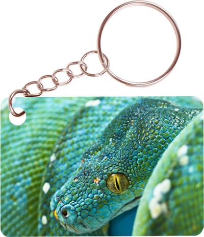 Sleutelhanger 6x4cm - Boompython Groenblauw Slang