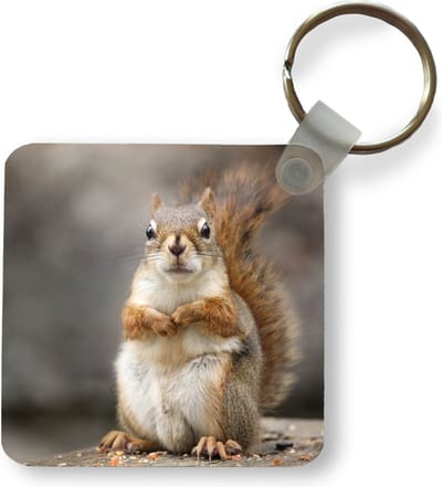 Sleutelhanger - Uitdeelcadeautjes - Weergave van dichtbij van eekhoorn - Plastic