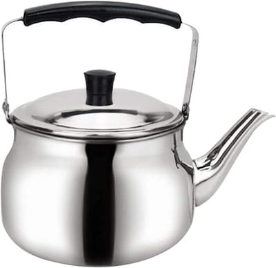 Thee Waterkoker - Theepot RVS - Water Koken - Roestvrij Staal - 0.8L - Zilver
