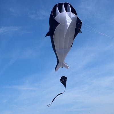 Willi de Walvis - Grote Vlieger - Buiten Spelen - Eenvoudig te starten - 210 x 140 cm - Zwart