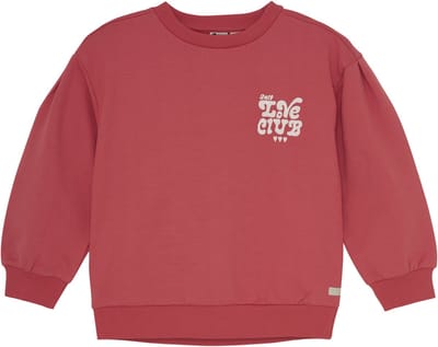 DAILY7 Sweater Brushed Print Truien & Vesten Meisjes - Sweater - Hoodie - Vest- Rood - Maat 116