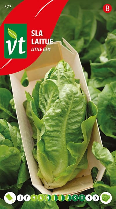 Sla 'Little Gem' Zaden - Kleine en Langwerpige Krop, Perfect voor Salades