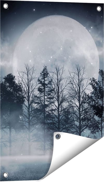 Gards Tuinposter Maan tussen de Bomen in de Nacht - 40x60 cm - Tuindoek - Tuindecoratie - Wanddecoratie buiten - Tuinschilderij