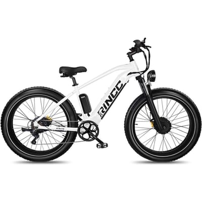 BEKUP V1 26  Vélo Électrique Adulte pour Trajet Quotidien, Moteur 250W, Batterie Amovible 36V 14.5Ah
