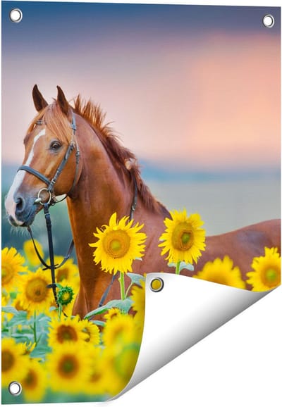 Gards Tuinposter Bruin Paard tussen de Zonnebloemen - 40x50 cm - Tuindoek - Tuindecoratie - Wanddecoratie buiten - Tuinschilderij