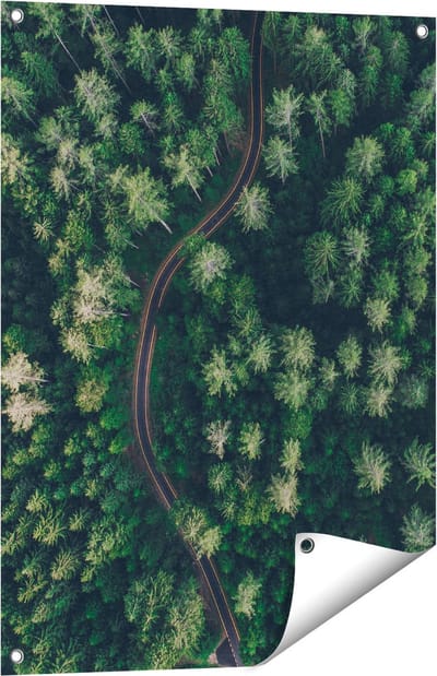 Gards Tuinposter Weg Door Bos met Bomen - Bovenaanzicht - 60x80 cm - Tuindoek - Tuindecoratie - Wanddecoratie buiten - Tuinschilderij