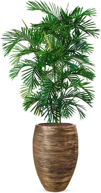 Kunstplant Arecapalm in Vaas elegant Deluxe rib zwartgoud H215 cm