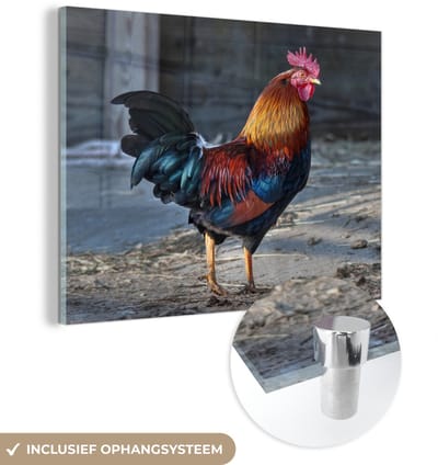 ® Glasschilderij 160x120 cm - Schilderij acrylglas - Kleurrijke haan op de boerderij - Foto op glas - Muurdecoratie woonkamer - Wanddecoratie slaapkamer - Schilderijen