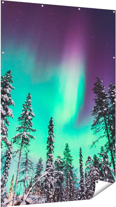 Gards Tuinposter Noorderlicht in de Bossen van Noorwegen - 120x180 cm - Tuindoek - Tuindecoratie - Wanddecoratie buiten - Tuinschilderij