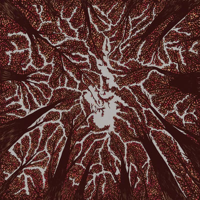 Crown Shyness - Trash Boat