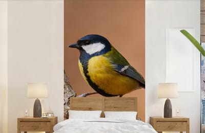 Behang - Fotobehang Vogel - Koolmees - Takken - Breedte 120 cm x hoogte 240 cm