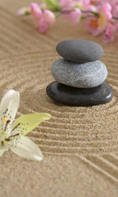 Fotobehang - Zen Garden 150x250cm - Vliesbehang