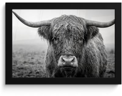 Poster in lijst - Fotolijst 30x20 cm - Posters - Schotse hooglander - Zwart - Wit - Gras - Posterlijst zwart - Decoratie - Wanddecoratie woonkamer - Muurdecoratie slaapkamer