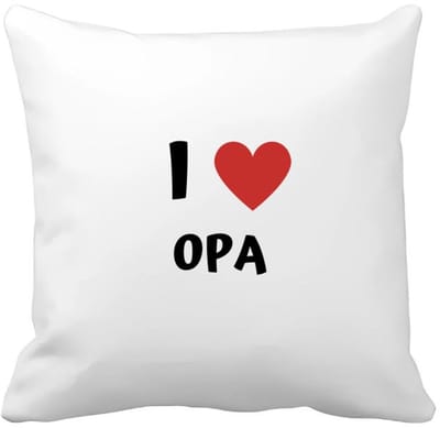 Akyol - i love opa Kussen hoes - Opa - de liefste opa - verjaardag - cadeautje voor opa - opa artikelen - kado - geschenk - 40 bij 40 cm