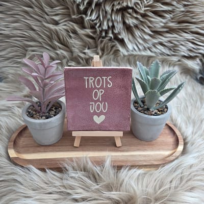 Robuust Wenstegeltje “Trots op Jou” – Lief Cadeautegeltje met Hartje – Trendy nu – Geslaagd – Vriend(in) – Familie – Gezin – Zomaar – Cadeau – Geslaagd – Decoratief Tegeltje met Standaard – Cadeau Idee