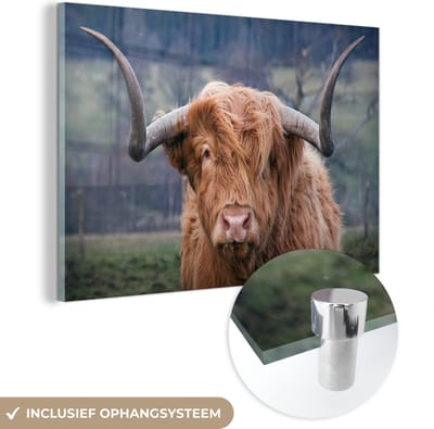 MuchoWow® Glasschilderij 120x80 cm - Schilderij acrylglas - Schotse Hooglander - Hoorns - Berg - Foto op glas - Schilderijen