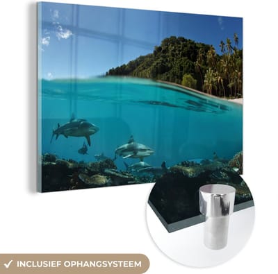 MuchoWow® Glasschilderij 120x80 cm - Schilderij acrylglas - Koraal - Haaien - Zee - Foto op glas - Muurdecoratie woonkamer - Wanddecoratie slaapkamer - Schilderijen