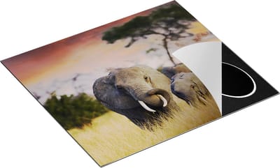 Chefcare Inductie Beschermer Groep Olifanten in het Wild - Kudde - 60x50 cm - Afdekplaat Inductie - Kookplaat Beschermer - Inductie Mat