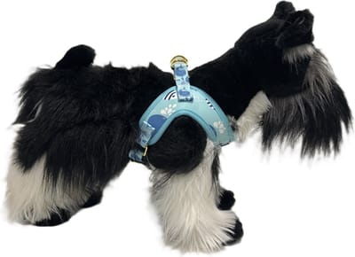 Cavlicious® Wag&Wonder hondentuigje - instaptuigje - harnas hond - walvisjesprint - set met riem - M
