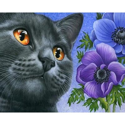 5d Diy Diamant Schilderen Kruissteek Volledig Zwarte Kat Dier Cadeau Diamant Borduurwerk 20X30 gray