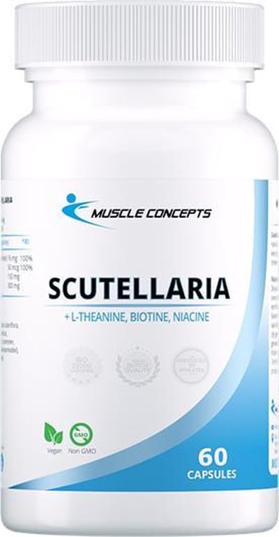 Scutellaria (Blauw Gildkruid) + L-Theanine + Biotine + Niacine - 60 vegetarische capsules | Muscle Concepts