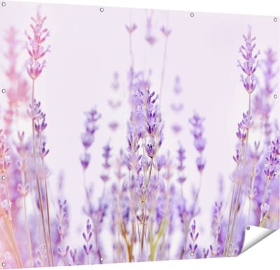 Gards Tuinposter Paarse Lavendel Bloemen - 150x120 cm - Tuindoek - Tuindecoratie - Wanddecoratie buiten - Tuinschilderij
