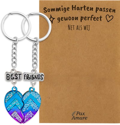 BFF Sleutelhanger voor 2 'Jij bent de sparkle in mijn hart' - Magnetisch Best Friends Hartje - Sleutelhanger set op Cadeau Kaartje - Zilverkleurig - Vriendschap Symbool - Pax Amare