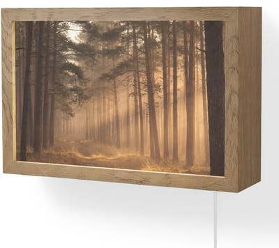 Wandlamp 30x20 cm - Oplaadbaar - Bos - Mist - Zonlicht - Wandlampen binnen woonkamer - Slaapkamer lamp met kabel - Decoratieve nachtlamp - Vloerlamp snoer