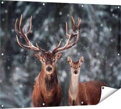 Gards Tuinposter Twee Herten met Sneeuw - 120x90 cm - Tuindoek - Tuindecoratie - Wanddecoratie buiten - Tuinschilderij