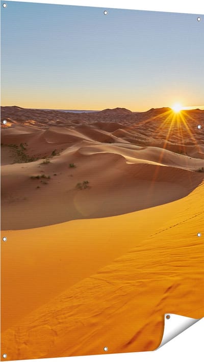 Gards Tuinposter Woestijn in de Sahara met een Opkomende Zon - 100x150 cm - Tuindoek - Tuindecoratie - Wanddecoratie buiten - Tuinschilderij