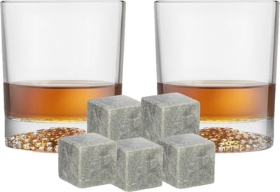 Royal Leerdam whiskyglazen - set 4x stuks van 290 ml - en 9x whisky ijsblokstenen - Cadeau set vaderdag
