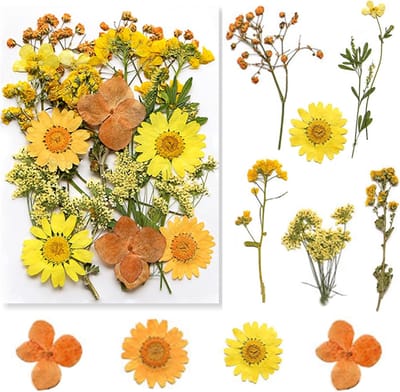 Droogbloemen, gedroogde bloemen, droogbloemen om te knutselen, set voor doe-het-zelf epoxyhars, scrapbook, accessoires, handgemaakte woondecoratie, bruiloft (A)