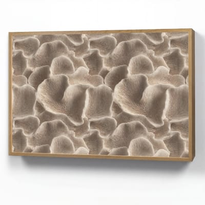 Wandlamp 100x70 cm - Oplaadbaar - Waaiervorm - Beige - Vezel textuur - Wandlampen binnen woonkamer - Slaapkamer lamp - Decoratieve nachtlamp - Vloerlamp draadloos