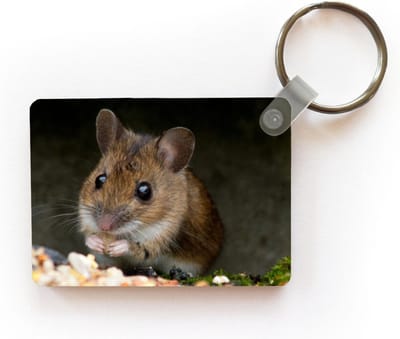 Sleutelhanger - Muis die ontbijt eet - Uitdeelcadeautjes - Plastic