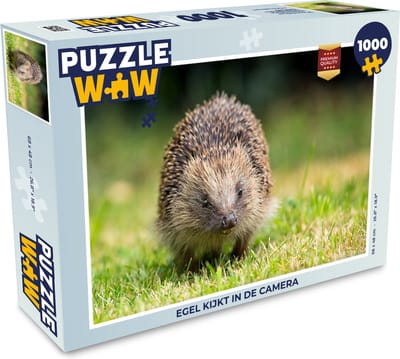 Puzzel Egel kijkt in de camera - Legpuzzel - Puzzel 1000 stukjes volwassenen