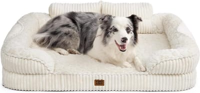 Orthopedisch Hondenbed - Hondenmand Sofa - Rustgevende Slaap - Traagschuim Vulling - 104 x 68 cm - Beige