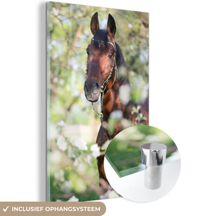 MuchoWow® Glasschilderij 40x60 cm - Schilderij acrylglas - Paarden - Bloesem - Lente - Dieren - Foto op glas - Schilderijen