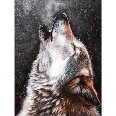 5D DIY Diamond schilderij  Huilende eenzame wolf  borduren kruissteek strass decoratie 20X30CM gray