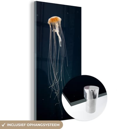 MuchoWow® Glasschilderij 20x40 cm - Schilderij acrylglas - Kwal - Zeedier - Tentakels - Foto op glas - Schilderijen