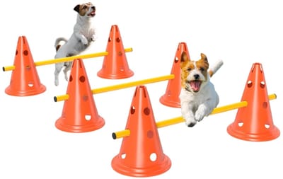 Daity Drie sets hondentrainingsmateriaal, bestaande uit zes kegels, zes palen met draagtassen en een driedelige, in hoogte verstelbare oranje hindernisbaan, geschikt voor hondentraining (oranje).