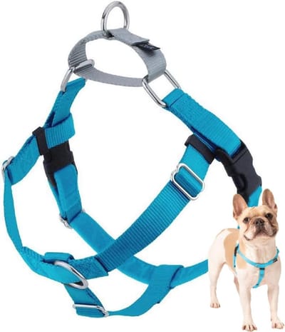 Honden tuigje - Comfortabel tuig - Veilig uitlaten - Niet trekken ontwerp - Maat M - Turkoois