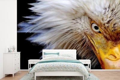 Behang - Fotobehang Vogel - Oog - Snavel - Breedte 600 cm x hoogte 400 cm