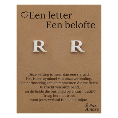 Initiaal Oorbellen met Letter R op Cadeau Kaartje - Een letter, een belofte - Zilverkleurig - Naam Sieraad Cadeau - Roestvrij Staal Oorknopjes - Pax Amare