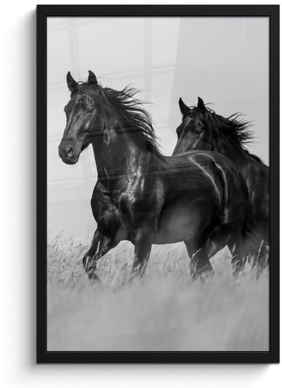 Poster in lijst - Fotolijst 40x60 cm - Posters - Paarden - Gras - Zwart - Wit - Posterlijst zwart - Decoratie - Wanddecoratie woonkamer - Muurdecoratie slaapkamer
